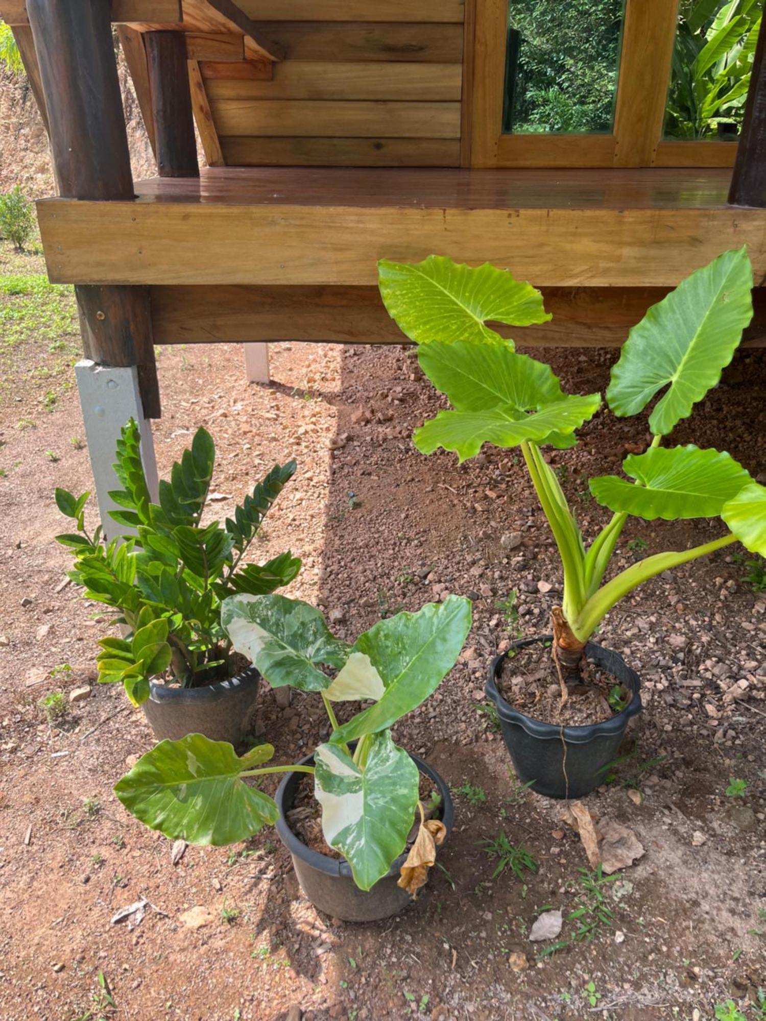 Koh Jum Home Stay Eksteriør billede